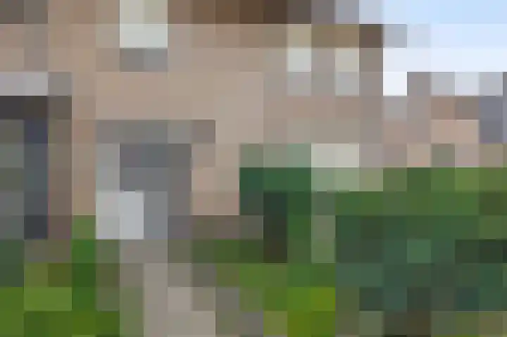 Eerschotsestraat 90 Sint-Oedenrode thumbnail 9
