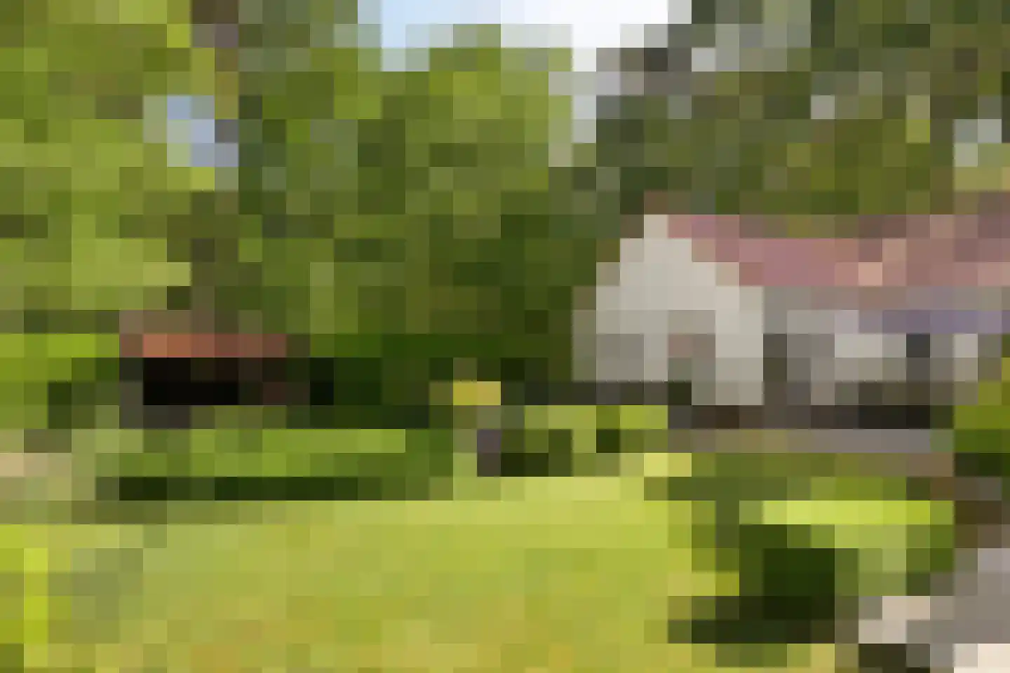 Eerselsedijk 32 Bergeijk thumbnail 36