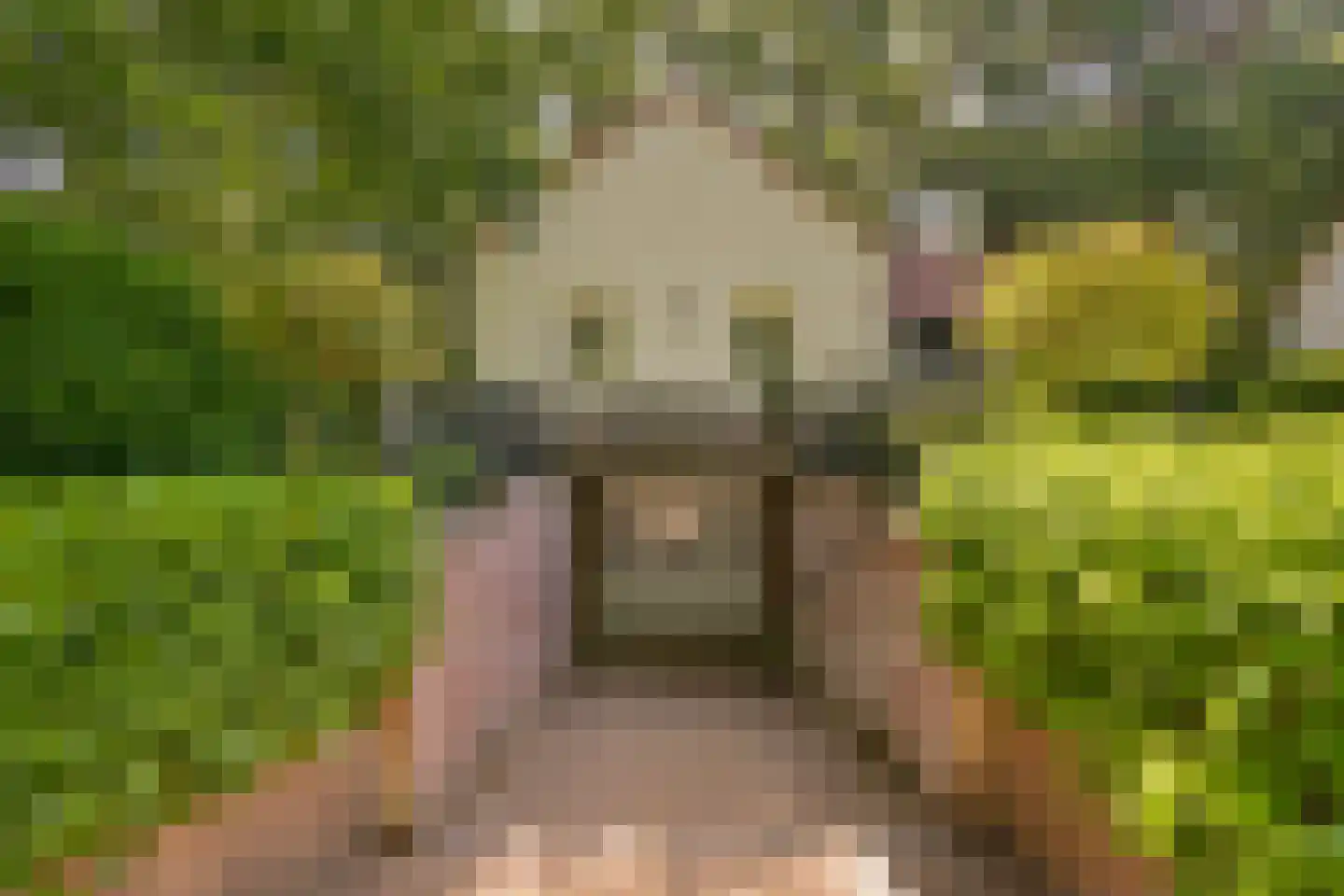Eerselsedijk 32 Bergeijk thumbnail 43
