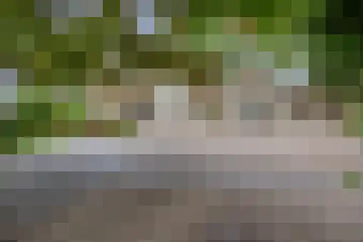 Eerselsedijk 37 Bergeijk thumbnail 4