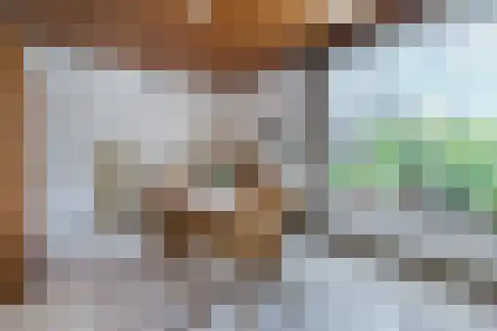 Eerselseweg 9 Knegsel thumbnail 12