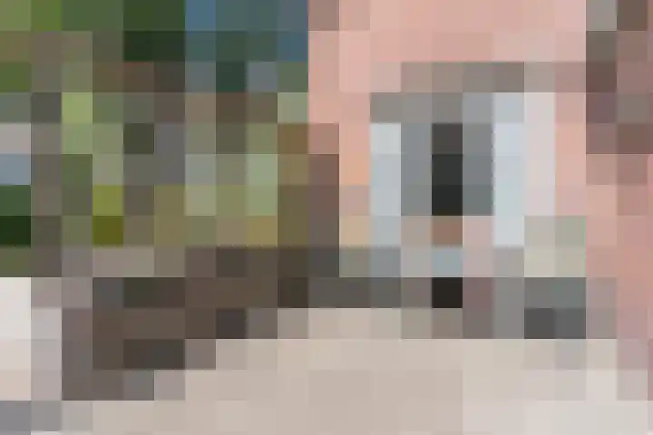 Eerselseweg 9 Knegsel thumbnail 37