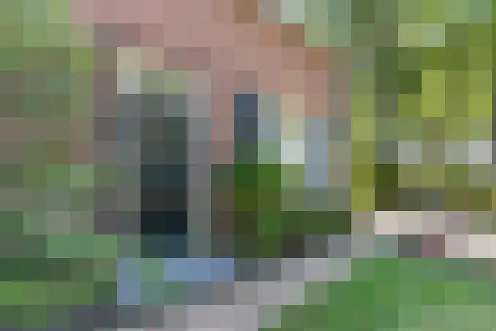 Eerselseweg 9 Knegsel thumbnail 4