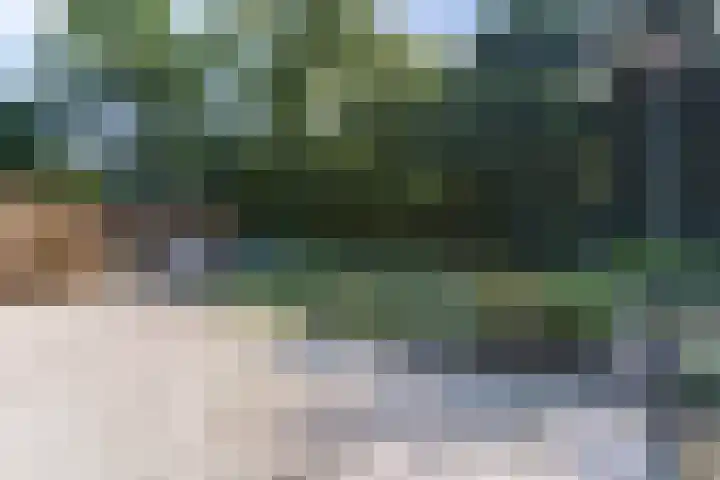 Eerselseweg 9 Knegsel thumbnail 40