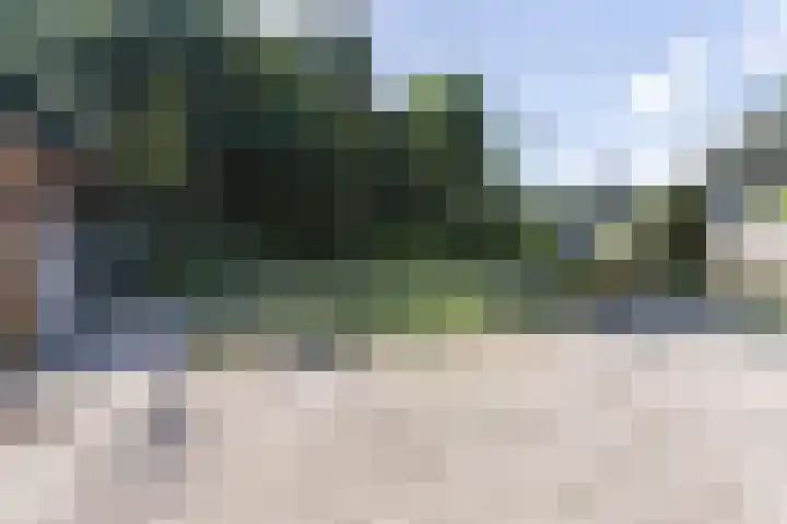Eerselseweg 9 Knegsel thumbnail 41