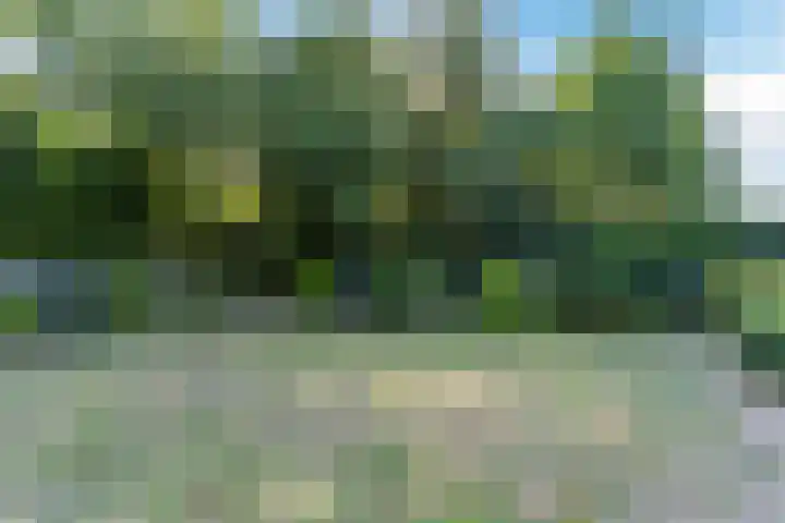 Eerselseweg 9 Knegsel thumbnail 42