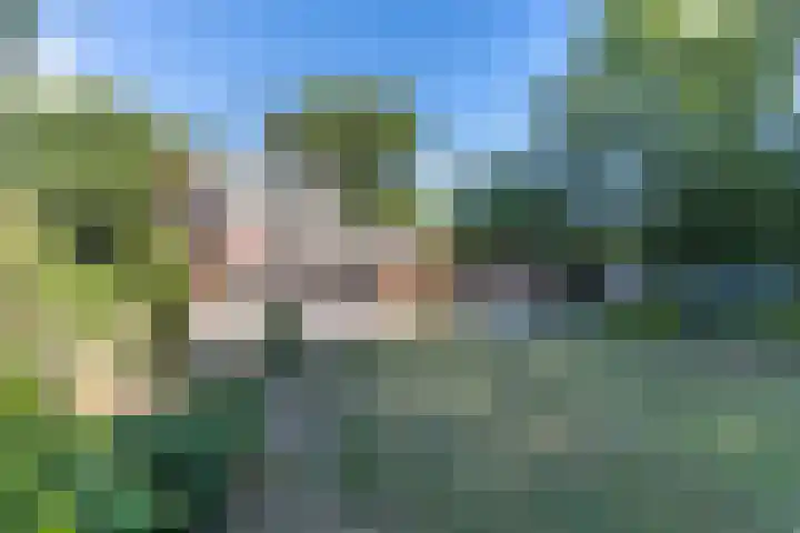 Eerselseweg 9 Knegsel thumbnail 43