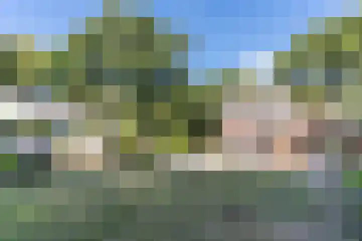 Eerselseweg 9 Knegsel thumbnail 45