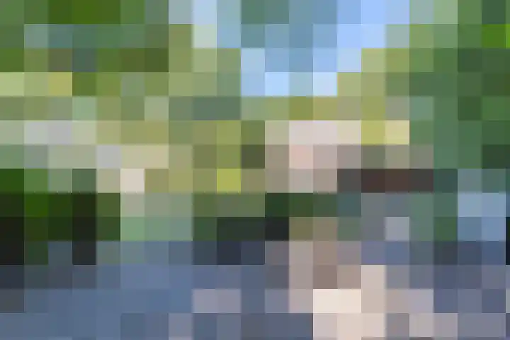 Eerselseweg 9 Knegsel thumbnail 46