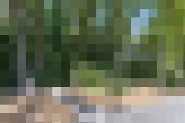 Eerselseweg 9 Knegsel thumbnail 48