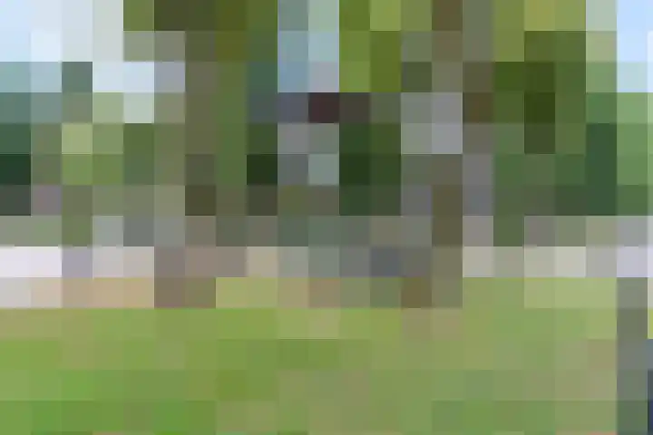 Eerselseweg 9 Knegsel thumbnail 51