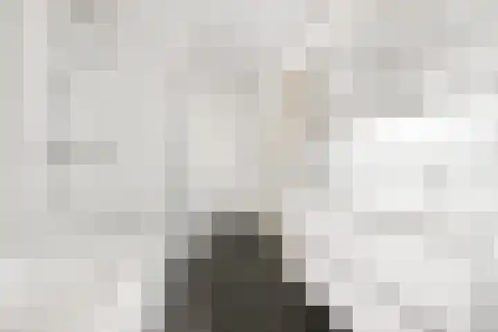 Eerste Amstelvlietpad 30 Amsterdam thumbnail 17