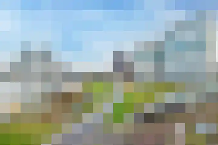 Eerste Amstelvlietpad 30 Amsterdam thumbnail 27