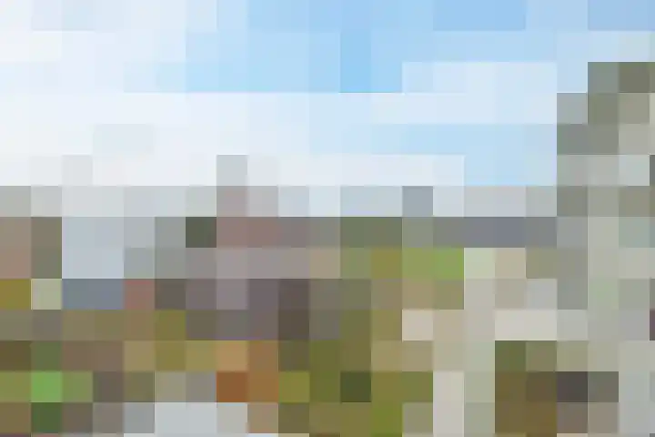 Eerste Amstelvlietpad 30 Amsterdam thumbnail 28