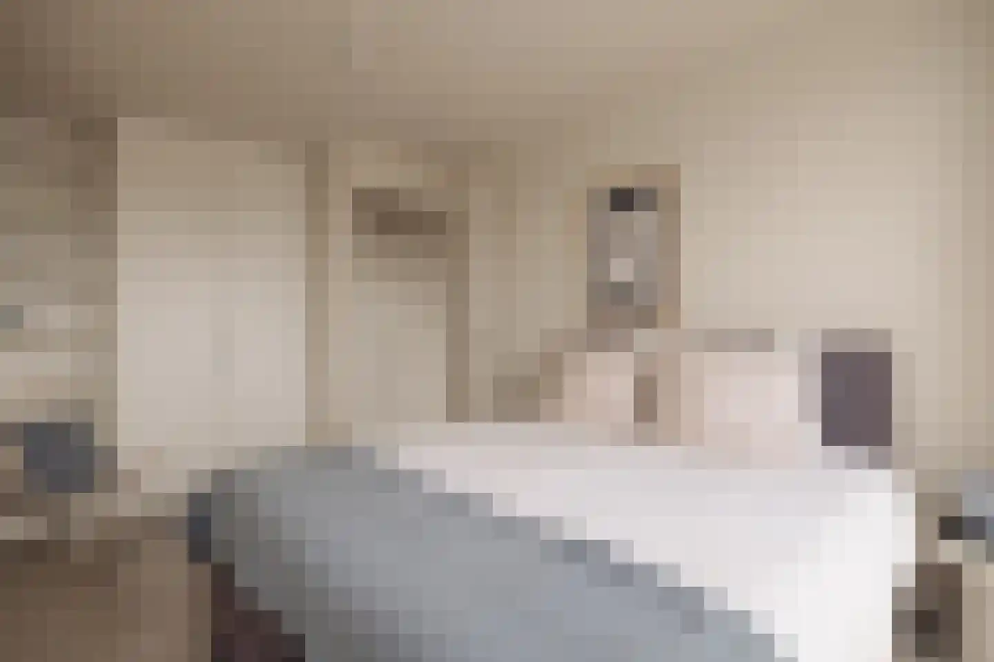 Eerste Amstelvlietpad 80 Amsterdam thumbnail 31