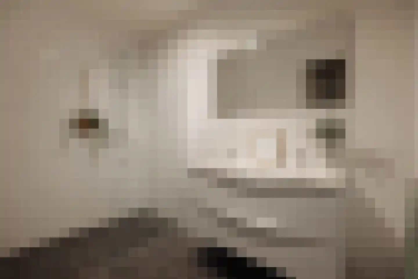 Eerste Amstelvlietpad 80 Amsterdam thumbnail 34