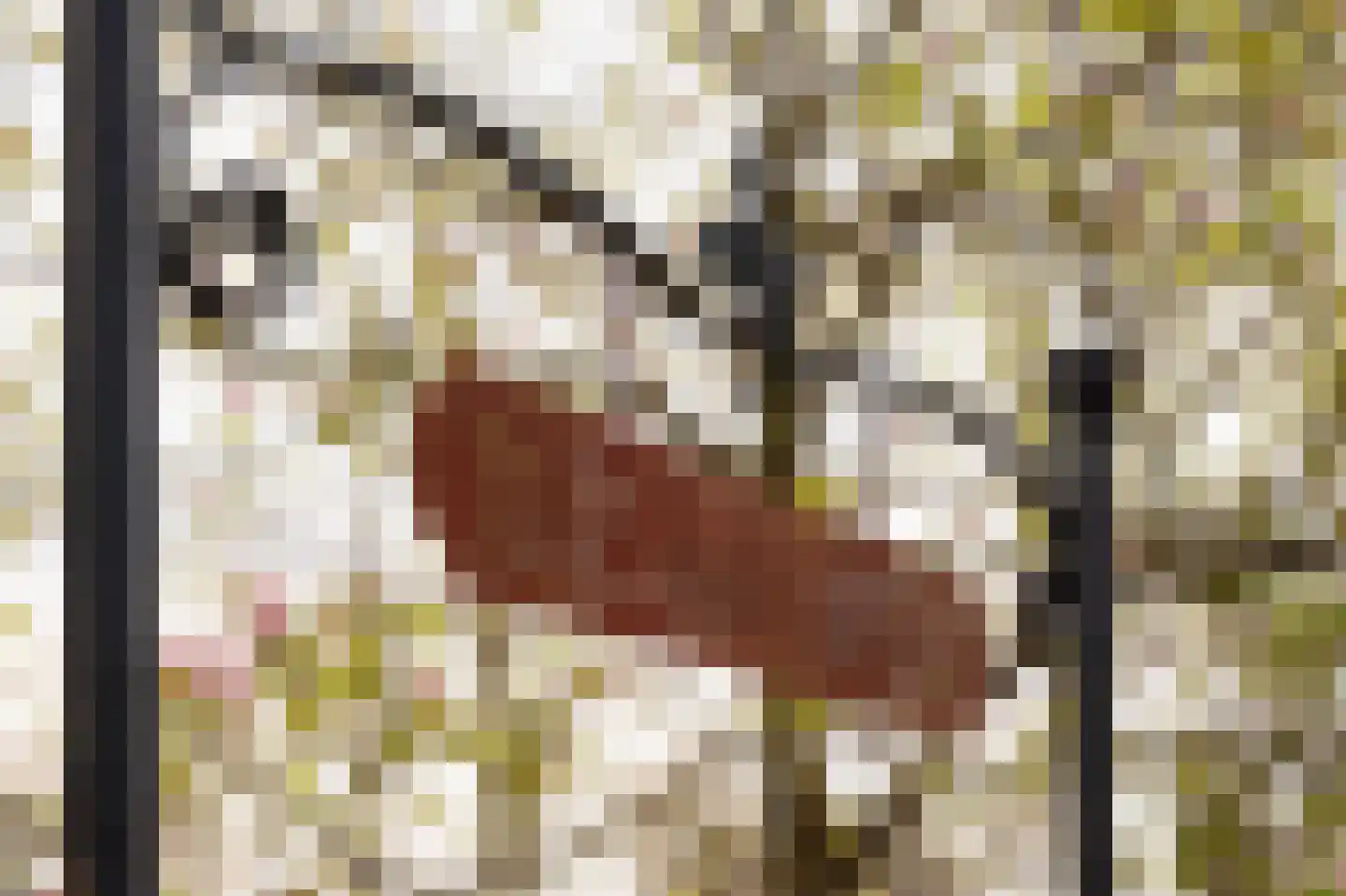 Eerste Amstelvlietpad 80 Amsterdam thumbnail 41
