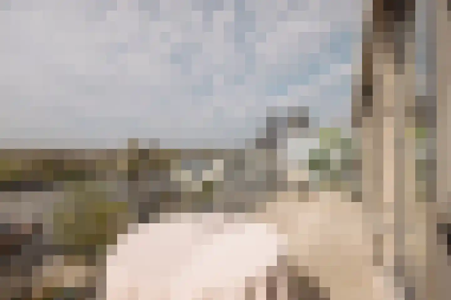 Eerste Amstelvlietpad 80 Amsterdam thumbnail 5