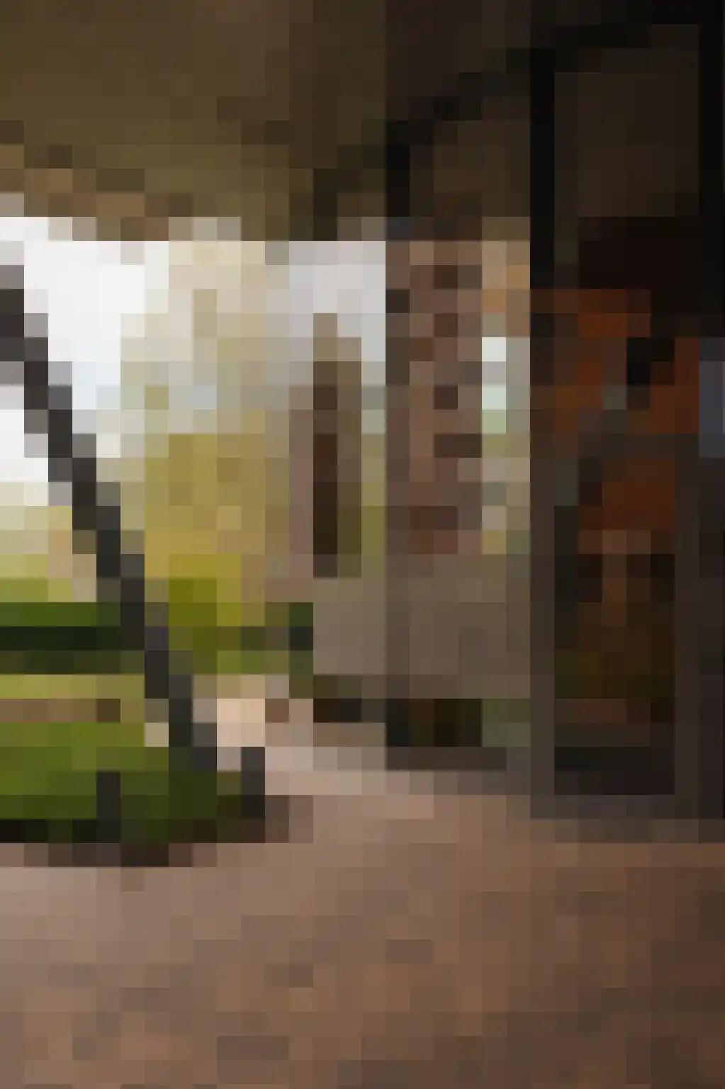 Eerste Amstelvlietpad 80 Amsterdam thumbnail 7