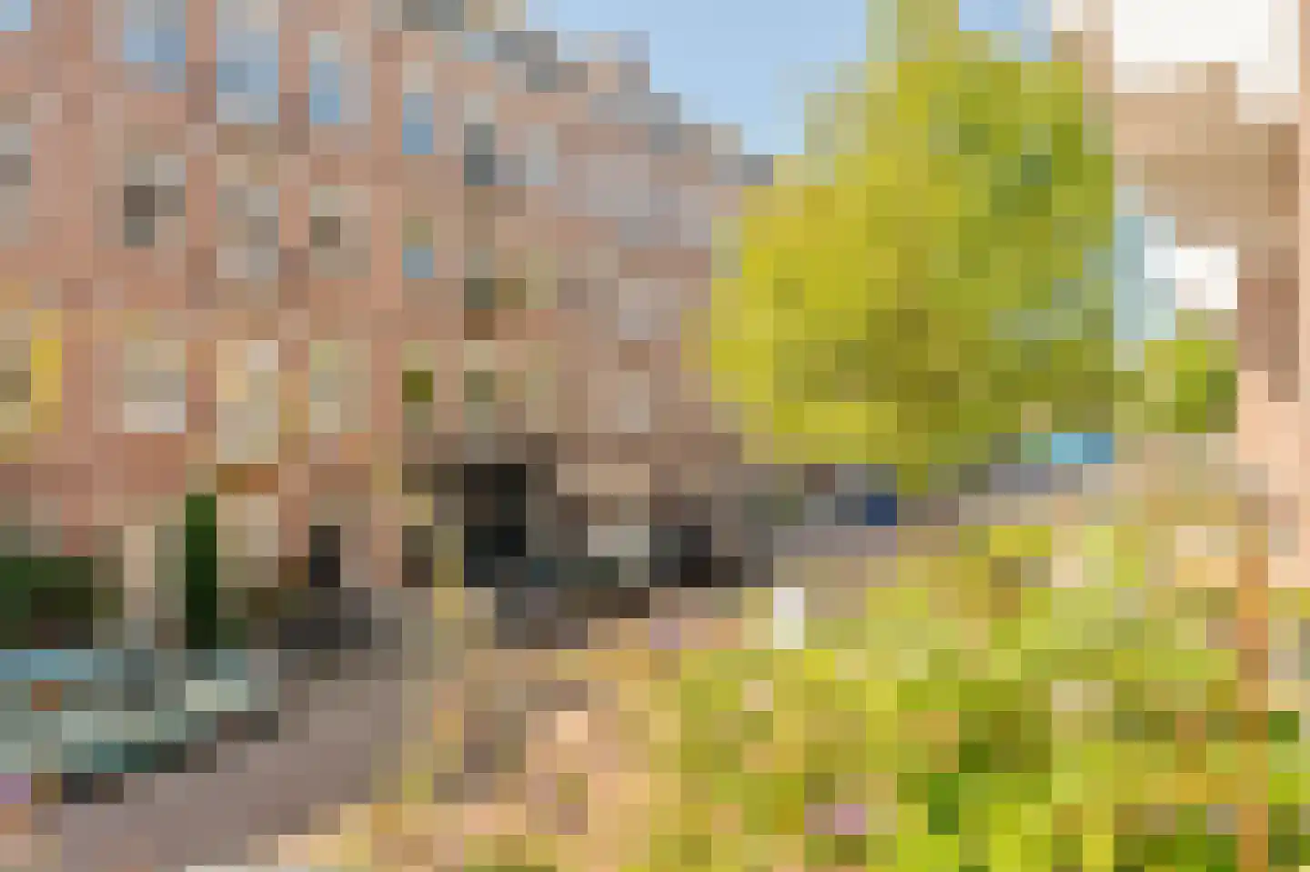 Eerste Atjehstraat 101 1 Amsterdam thumbnail 10