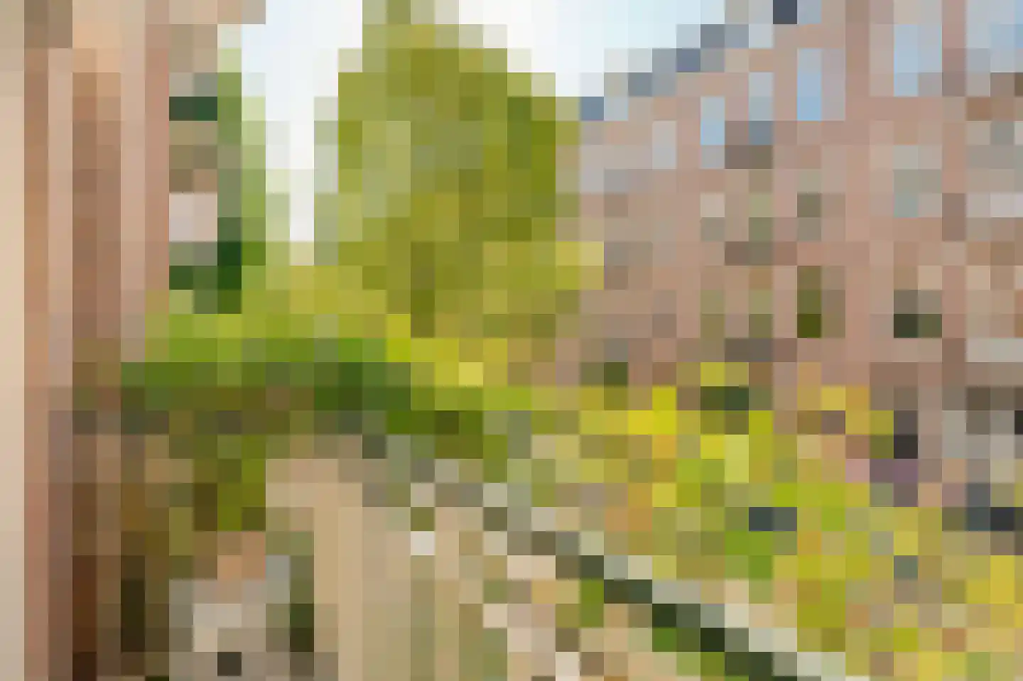 Eerste Atjehstraat 101 1 Amsterdam thumbnail 8