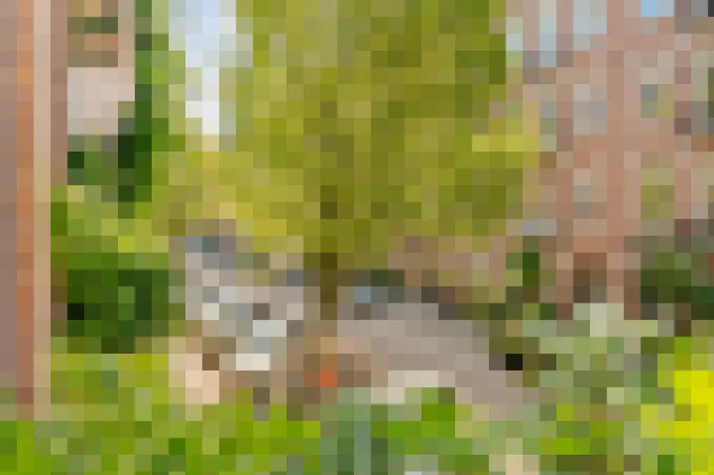 Eerste Atjehstraat 101 1 Amsterdam thumbnail 9