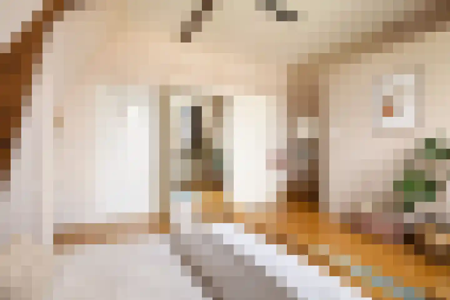 Eerste Atjehstraat 105 1 Amsterdam thumbnail 32
