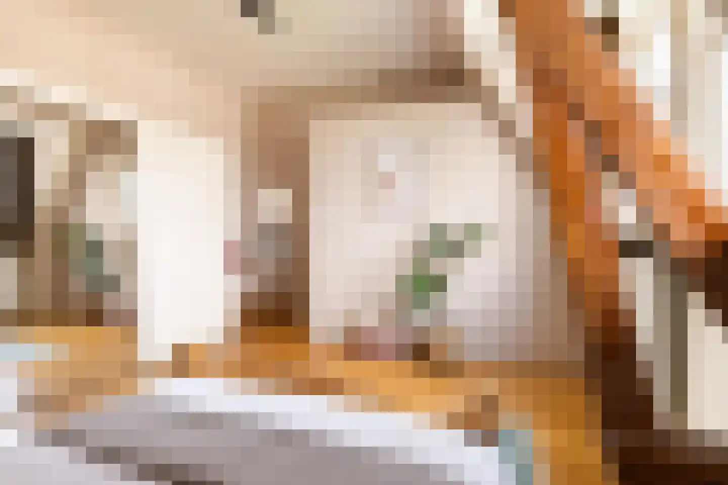 Eerste Atjehstraat 105 2 Amsterdam thumbnail 31