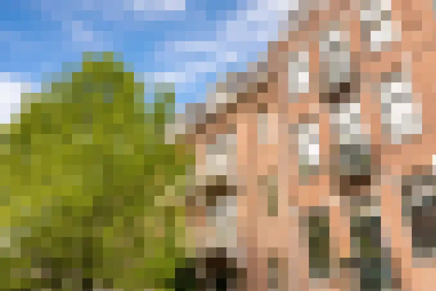 Eerste Atjehstraat 105 2 Amsterdam thumbnail 6