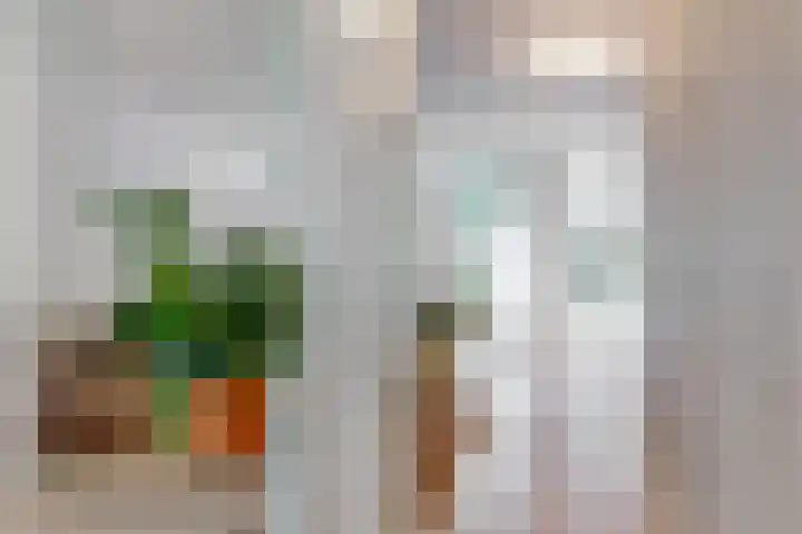 Eerste Atjehstraat 105 3 Amsterdam thumbnail 13