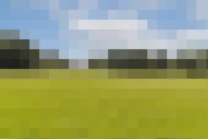 Eerste Atjehstraat 106 K Amsterdam thumbnail 24