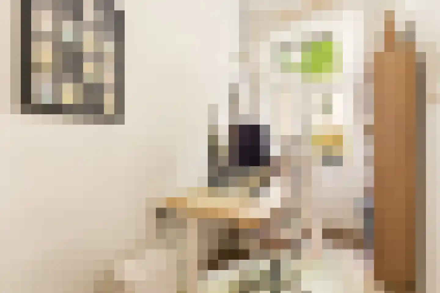 Eerste Atjehstraat 109 3 Amsterdam thumbnail 6