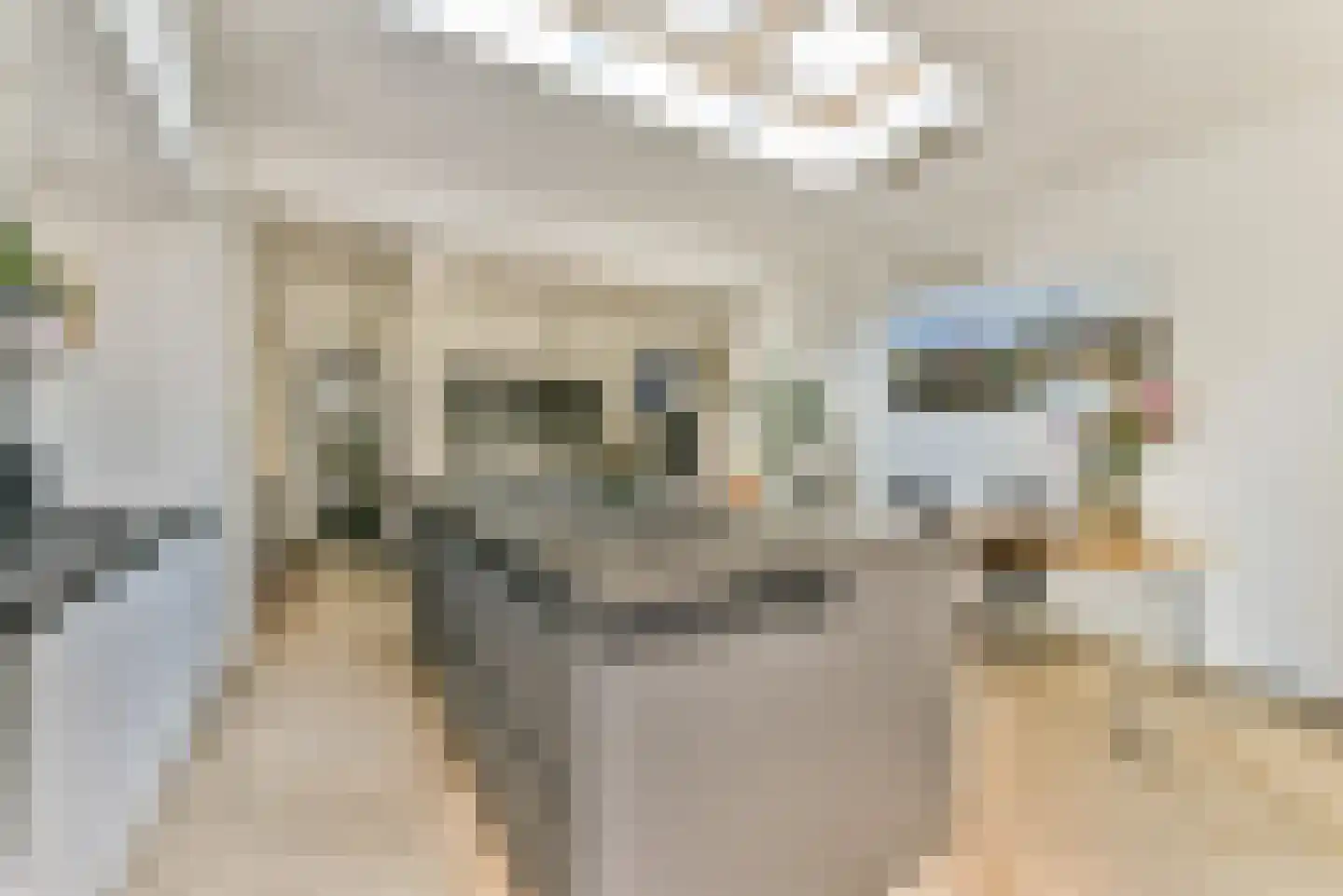 Eerste Atjehstraat 111 H Amsterdam thumbnail 10