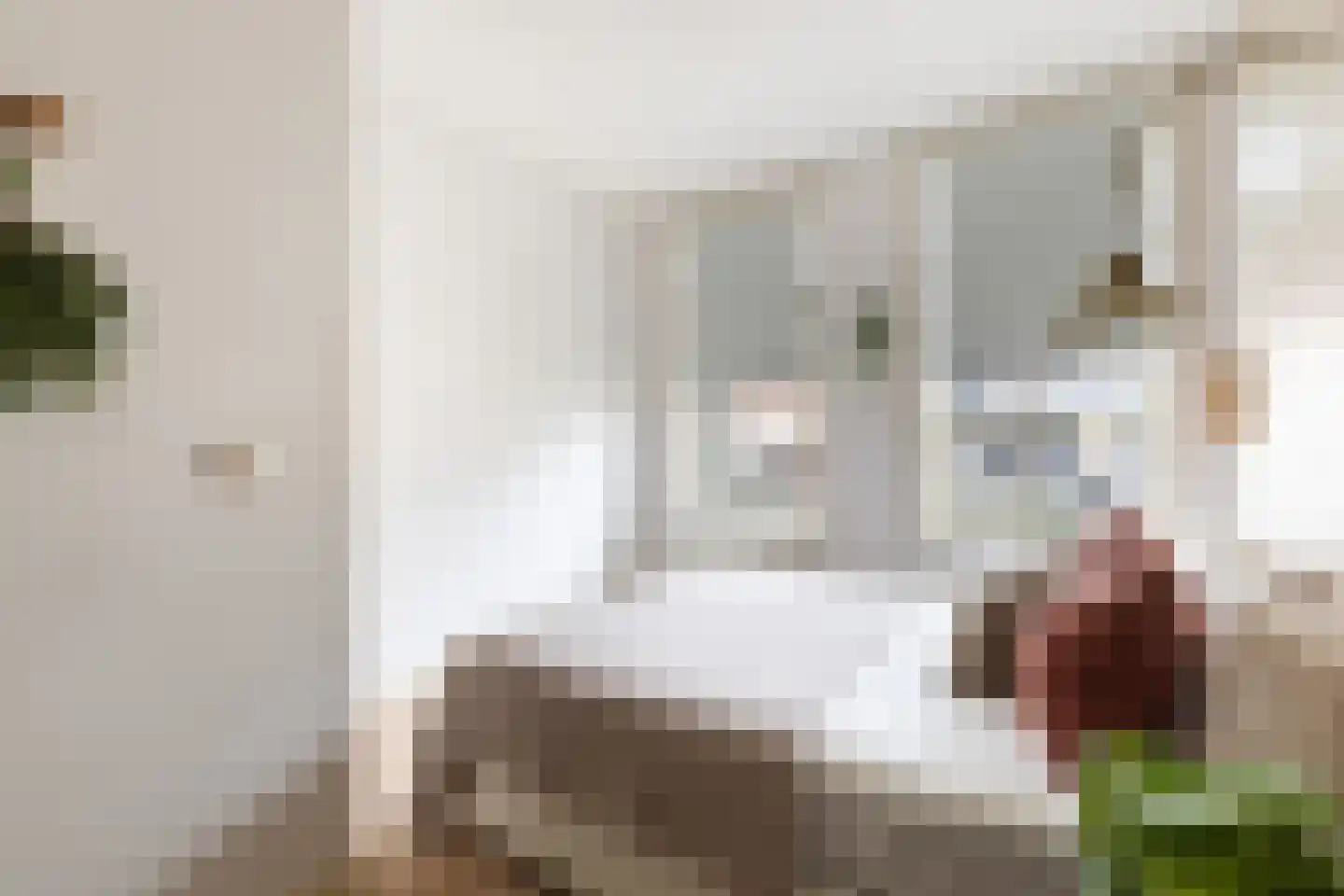 Eerste Atjehstraat 113 1 Amsterdam thumbnail 14