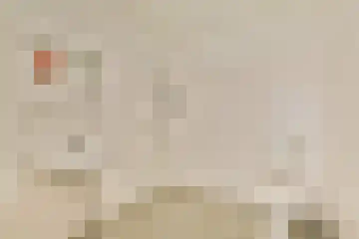 Eerste Atjehstraat 128 1 Amsterdam thumbnail 11