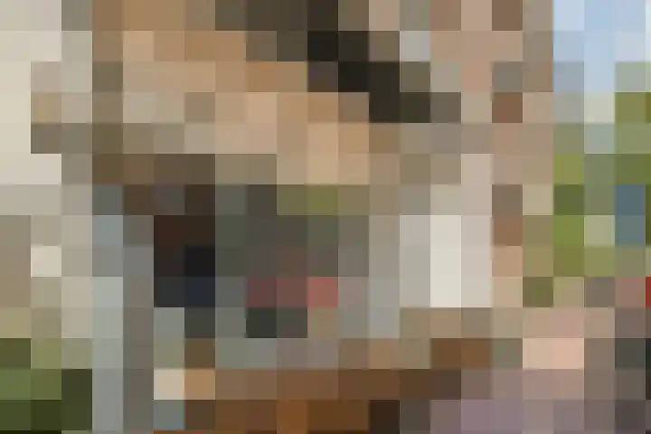 Eerste Atjehstraat 128 1 Amsterdam thumbnail 15
