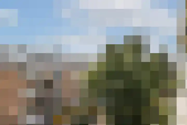 Eerste Atjehstraat 128 1 Amsterdam thumbnail 17