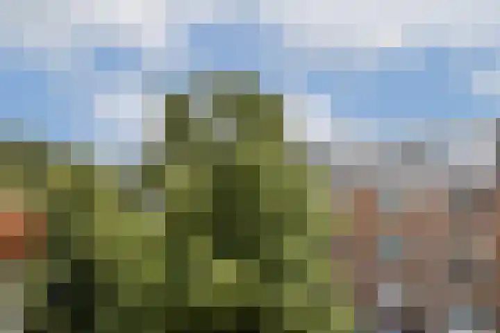 Eerste Atjehstraat 128 1 Amsterdam thumbnail 18