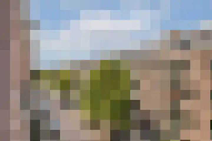 Eerste Atjehstraat 128 1 Amsterdam thumbnail 21