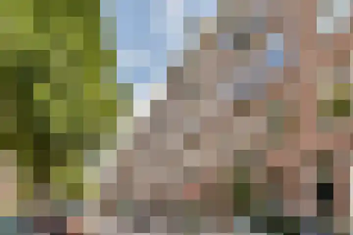 Eerste Atjehstraat 128 1 Amsterdam thumbnail 22