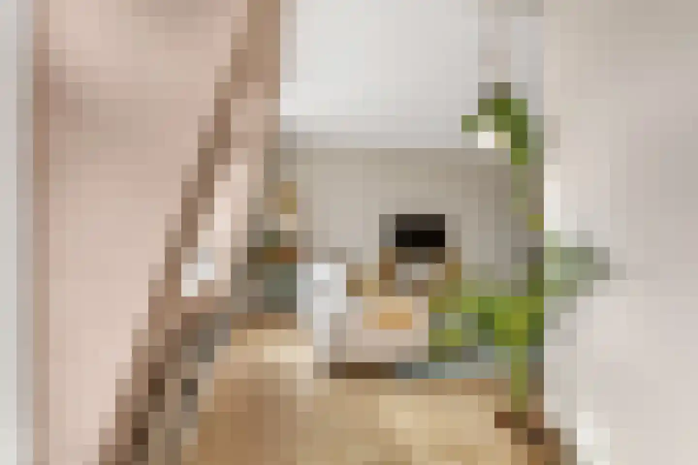Eerste Atjehstraat 134 D Amsterdam thumbnail 11