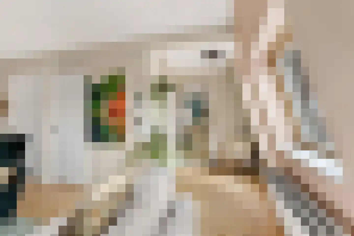Eerste Atjehstraat 134 D Amsterdam thumbnail 9