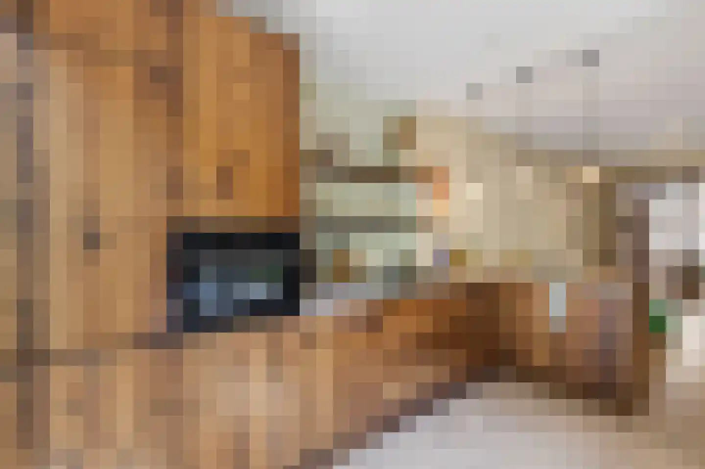 Eerste Atjehstraat 142 A Amsterdam thumbnail 18