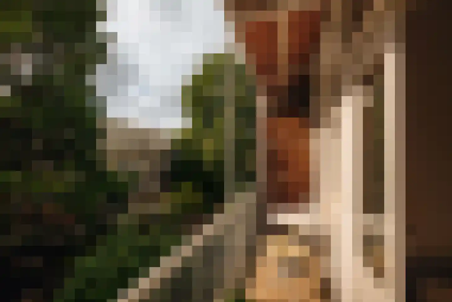 Eerste Atjehstraat 152 C Amsterdam thumbnail 10