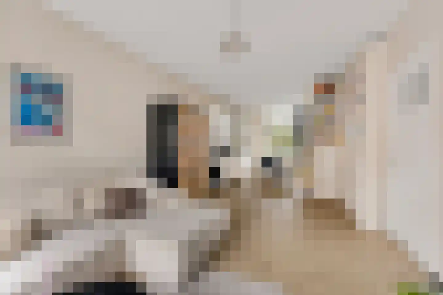 Eerste Atjehstraat 152 E Amsterdam thumbnail 10
