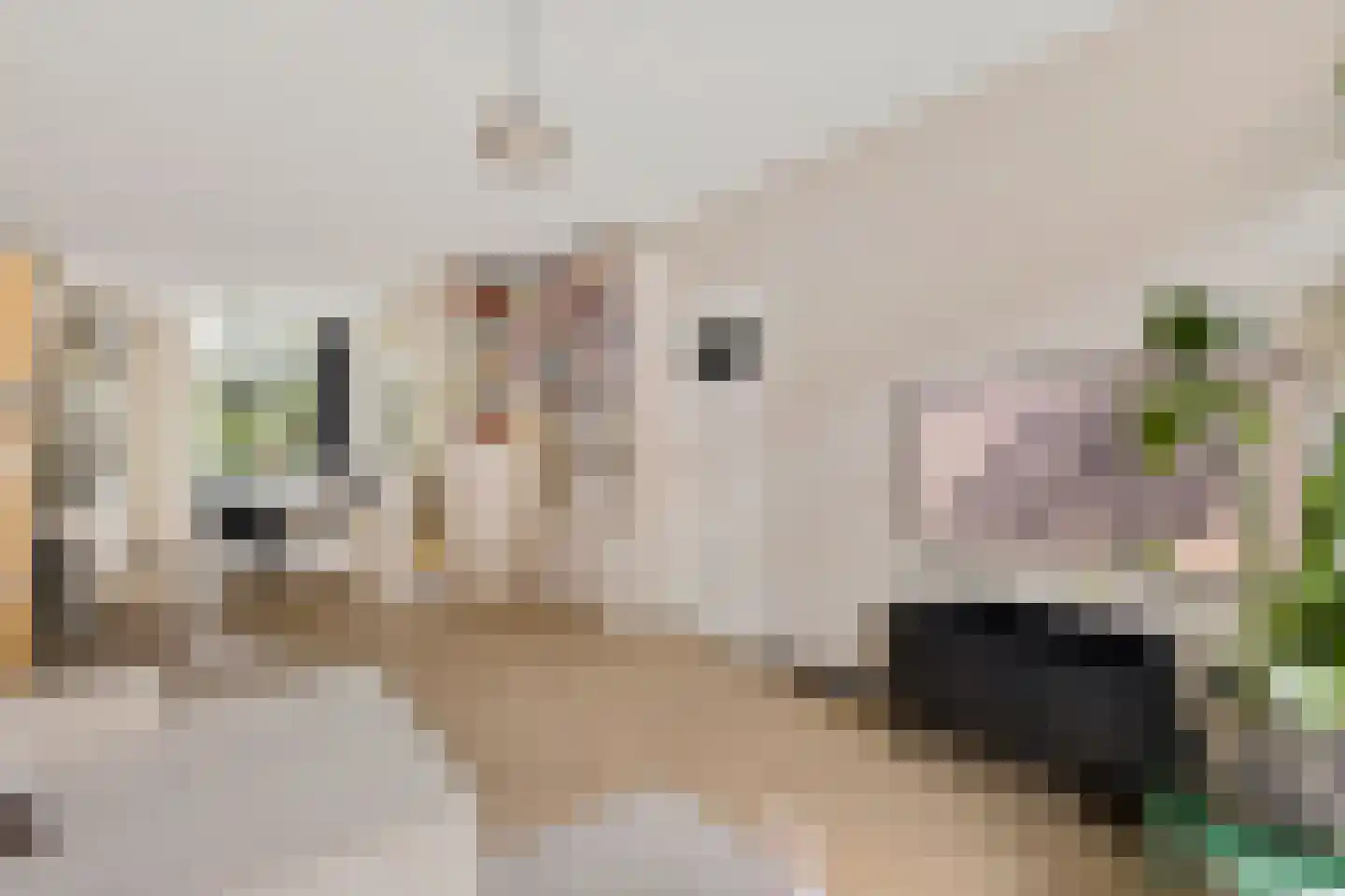 Eerste Atjehstraat 152 E Amsterdam thumbnail 11