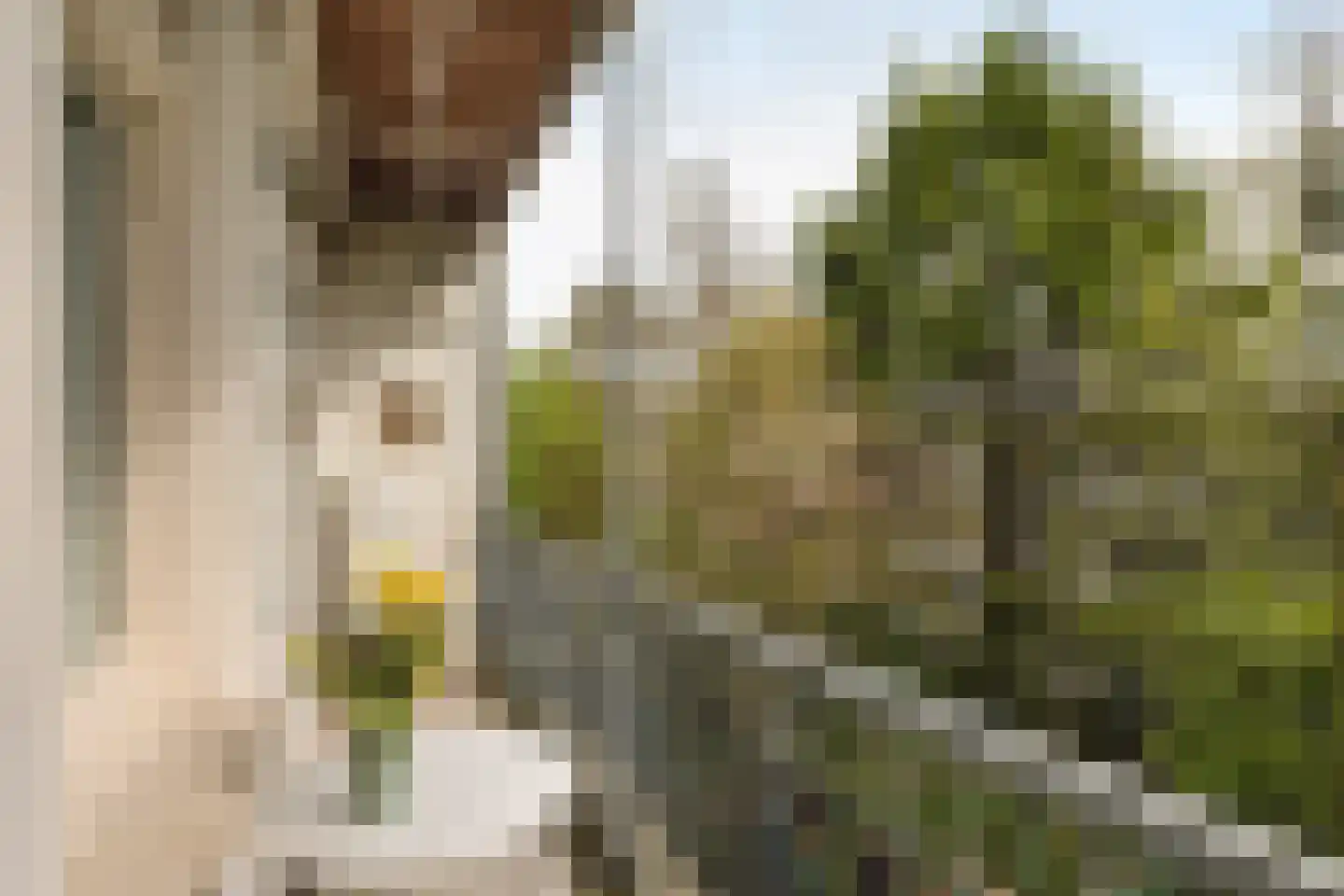Eerste Atjehstraat 152 E Amsterdam thumbnail 27