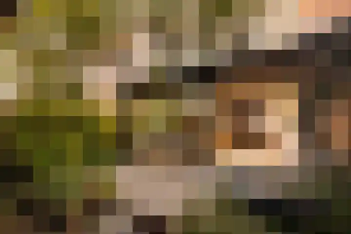 Eerste Atjehstraat 156 2 Amsterdam thumbnail 17