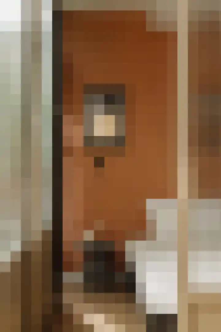 Eerste Atjehstraat 156 2 Amsterdam thumbnail 18
