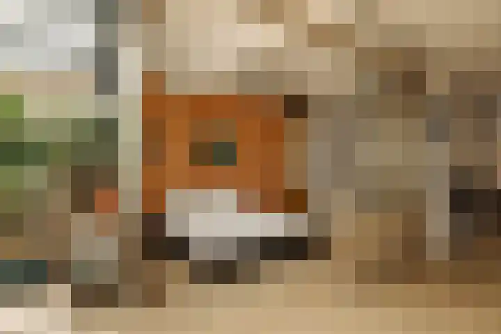 Eerste Atjehstraat 156 2 Amsterdam thumbnail 19